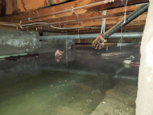 Best Water damage restoration company  in South Pittsburg, TN