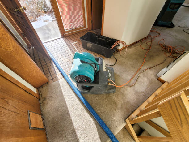 Sewage cleanup and water damage restoration in TN