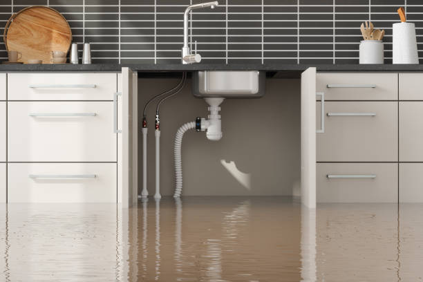Best Fire Damage Restoration  in South Pittsburg, TN