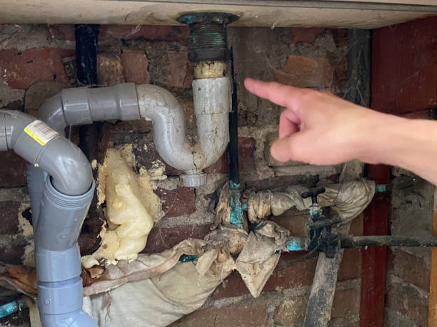 Best Basement water damage restoration  in South Pittsburg, TN
