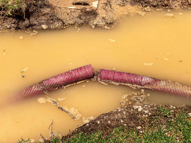 24/7 water damage repair in TN